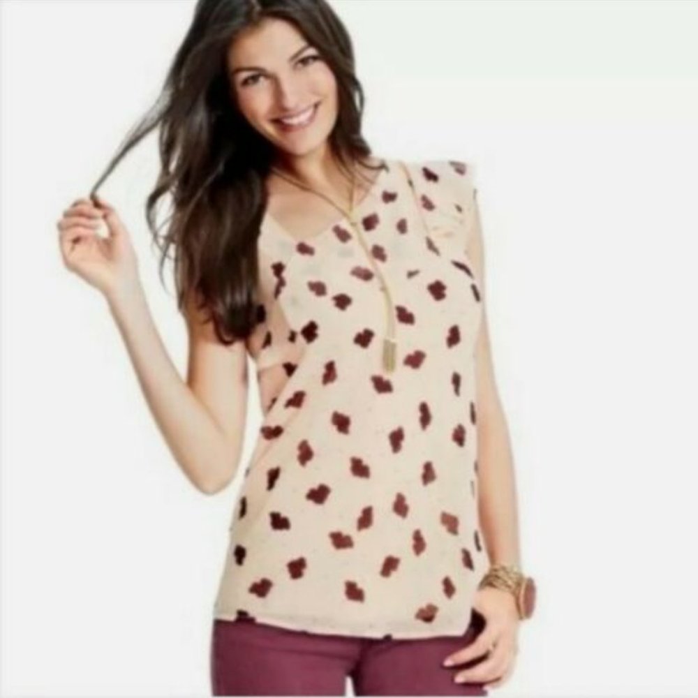 CAbi Sheer Ruffle Blouse Small Beige Brown Flutter Sleeve Top
